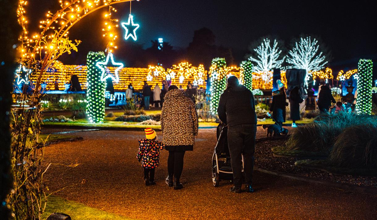 Wollaton Winter Light Trail